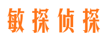 麦盖提市私家侦探